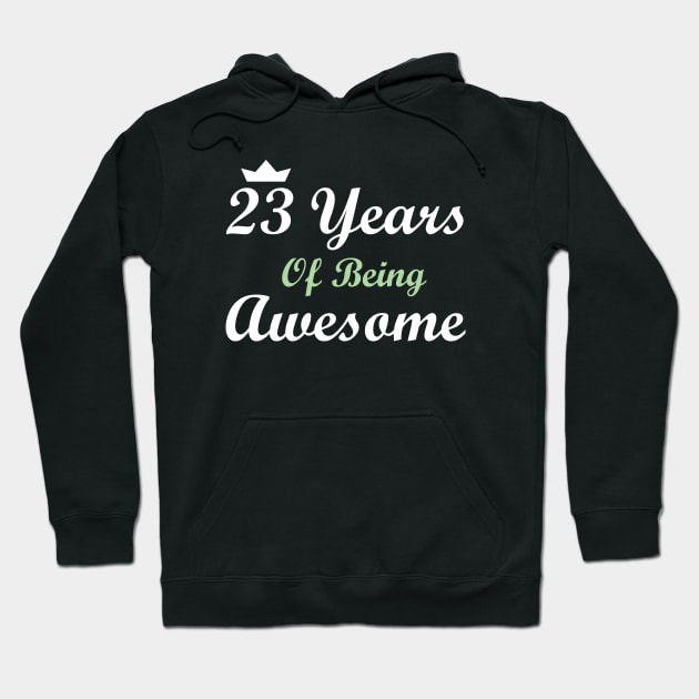 23 Years Of Being Awesome Hoodie by FircKin